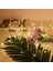 Petinka® Peri LED Işık 28 Ledli 3 Metre Sarı LED Şerit Aydınlatma Spot LED 2