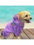 Lilac Premium Peluş Orta Irk Köpek Sweatshirtü (8 kg-20 kg arası köpeklere uygundur) 1