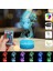 Justup Denizkızı 3D Illusion Lamba Kız Için Denizkızı Lamba Noel Doğum Günü Hediyesi Küçük Denizkızı LED Gece; Ht Işık; Ht 16 Renk Çocuklar Için Değişiyor Erkek Çocuk (Stil B) (Yurt Dışından) 3