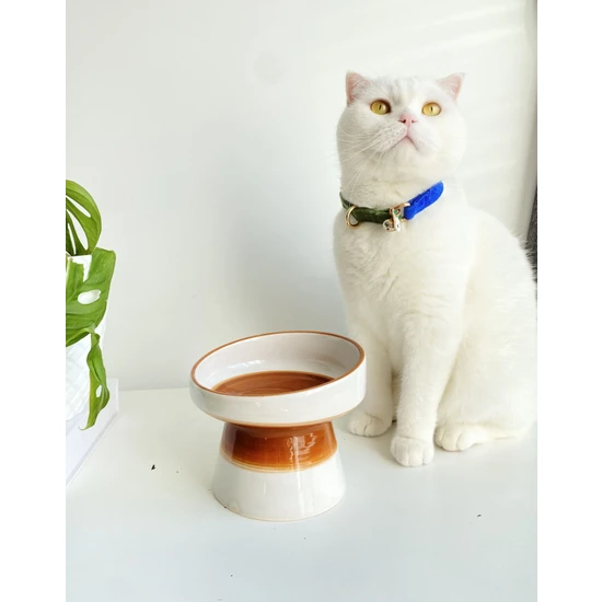 Stilin Bu Seramik Kedi ve Kopek Mama Su Kabı (Beyaz-Açık Kahverengi)