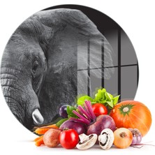 Decovetro Cam Kesme Tahtası Yuvarlak Fil Desenli 30X30 cm