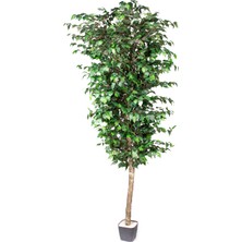 Herdekora Yapay Ficus Ağacı Tek Gövde Yeşil 225 Cm.