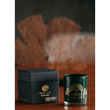 Tayay Life Salda Oda Kokusu