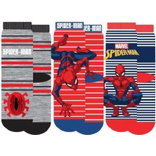 Spıderman 21559 Lisanslı Çocuk  3'lü Soket Çorap