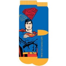 Superman 21561 Lisanslı Çocuk 3'lü Soket Çorap