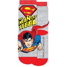 Superman 21561 Lisanslı Çocuk 3'lü Soket Çorap