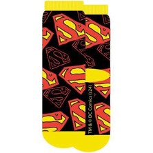 Superman 21561 Lisanslı Çocuk 3'lü Soket Çorap