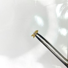 Selens Gümüş Altın Sarısı Tragus Küpesi Gümüş Kıkırdak Küpesi