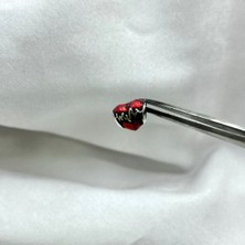 Selens Kadın Kırmızı Kalp Gümüş Charm Pando Ra Charm