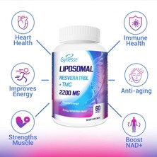 Gyriesse Liposomal 2200MG High Dose Softgel, Trans-Resveratrol 1700MG Plus Tmg 500MG, Powerful Antioxidant For Anti-Aging, Skin Health, Cell Repair, Boost Nad+, Energy & Immune And Overall Health - 60 Softgels