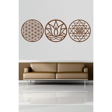 Artes Yaşam Çiçeği Lotus Çiçeği ve Sri Yantra 3'lü Set Kahverengi Duvar Tablosu