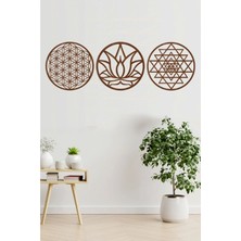 Artes Yaşam Çiçeği Lotus Çiçeği ve Sri Yantra 3'lü Set Kahverengi Duvar Tablosu