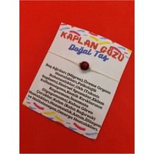 Doğal Taş Dünyası Kaplan Gözü Doğal Taş Bileklik Ayarlamalı Bağlama Sistemi