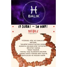 Doğal Taş Dünyası Sertifikalı Burç Taşı Balık Burcu Yıldız Taşı Bileklik