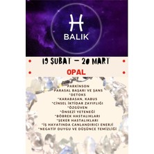 Doğal Taş Dünyası Burç Taşı Balık Burcu Opal Taşı Bileklik