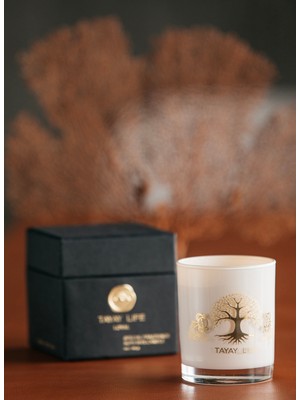 Tayay Life Salda Mum