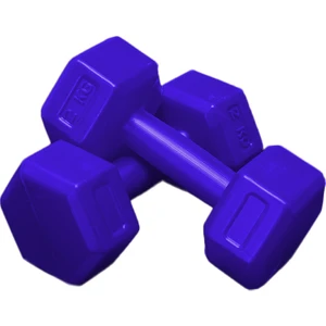 Mavi 2 kg x 2 Adet Toplam 4 kg Dambıl Seti 4 kg Dumbell Set