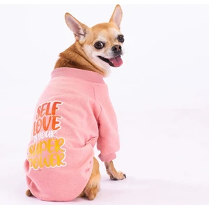 Pembe Power Polarlı Küçük Irk Köpek Sweatshirtü