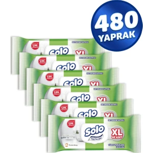 Tüm Yüzeyler Islak Temizleme Havlusu Xl 6'lı 480 Yaprak