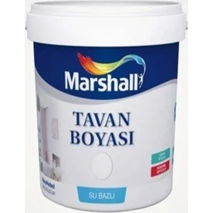 Tavan Boyası 1kg