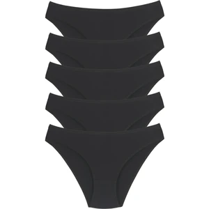 1001 Kadın 5'lı Günlük Slip Külot V16