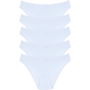1001 Kadın 5'lı Günlük Slip Külot V15