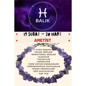 Doğal Taş Dünyası Sertifikalı Burç Taşı Balık Burcu Ametist Taşı Bileklik