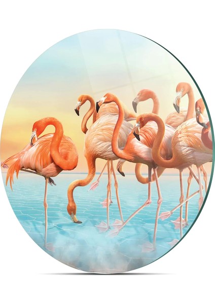 Cam Kesme Tahtası Yuvarlak Flamingo Desenli 30X30 cm indirimleri