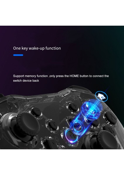 Anahtar Denetleyicisi, Anahtar Anahtarı Lite Anahtarı OLED Için Switch Pro Denetleyicisi, Joystick'li Rgb Tonlu Işık Anahtarı Denetleyicisi Pro (Yurt Dışından)