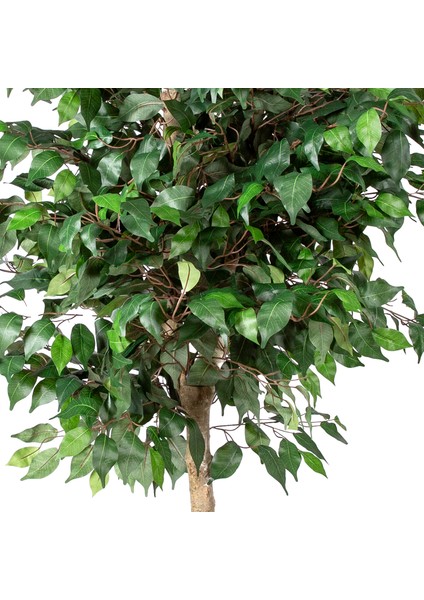 Yapay Ficus Ağacı Tek Gövde Yeşil 140 Cm.