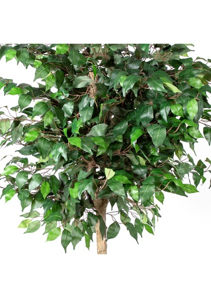 Yapay Ficus Ağacı Tek Gövde Yeşil 140 Cm.