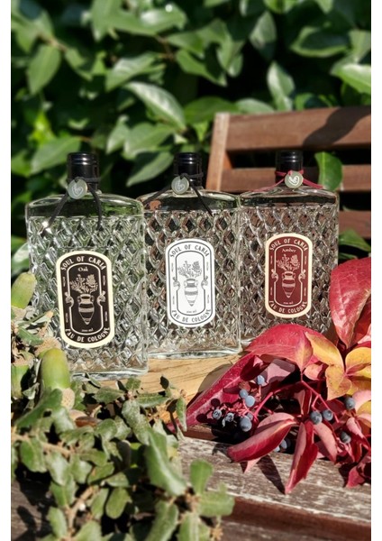 Meşe Kokulu Soul Of Caria Eau De Kolonya 200 Ml Özel Cam Şişe modelleri