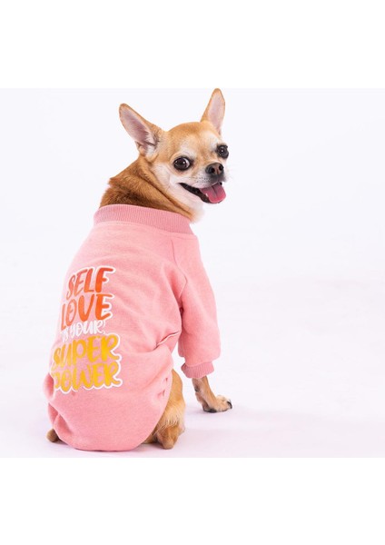 Pembe Power Polarlı Küçük Irk Köpek Sweatshirtü