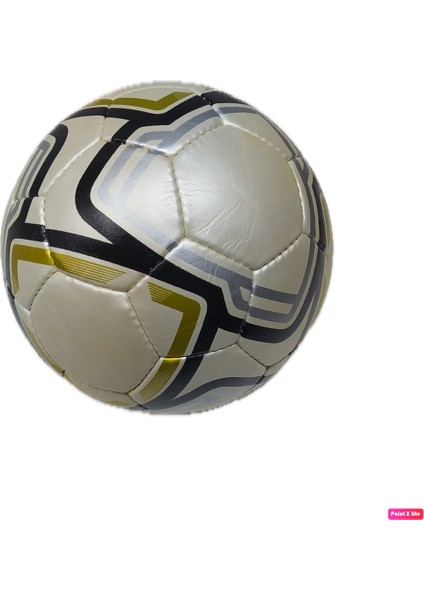 Classic No 5 Profesyonel 32 Panel Futbol Topu Sert Zemin Için Özel Üretim Maç Topu 442 gr + Pompa