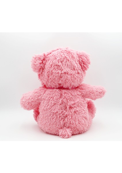 Pembe Ayı Oyuncak Ayı Bebek Peluş Oyuncak Yedi Renkli Ayı (Yurt Dışından) modelleri