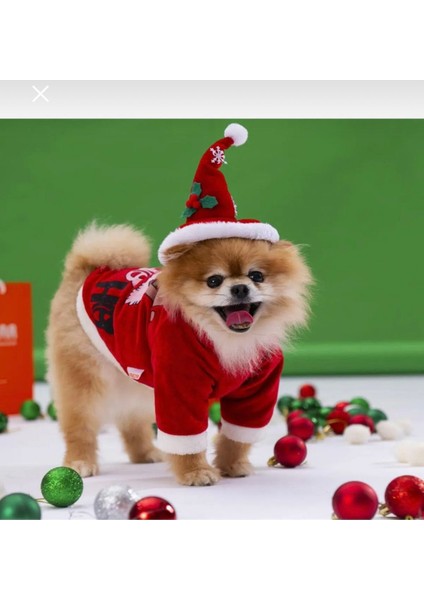 Noel Slogan Küçük ve Orta Irk Köpek Sweat