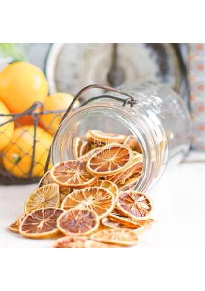Limon Kurusu 40 gr fiyatları