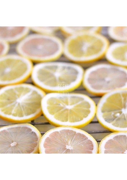Limon Kurusu 40 gr indirimleri