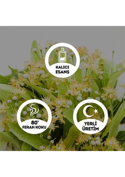 Ihlamur Kolonyası Cam Şişe 200 ml (80 Derece) - (Parfümlü)