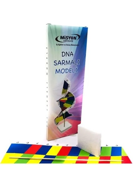 MİSYON Dna Sarmalı Modeli Deney Seti