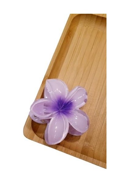 Lotus Toka fiyatları