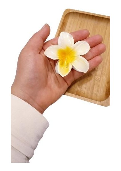 Lotus Toka