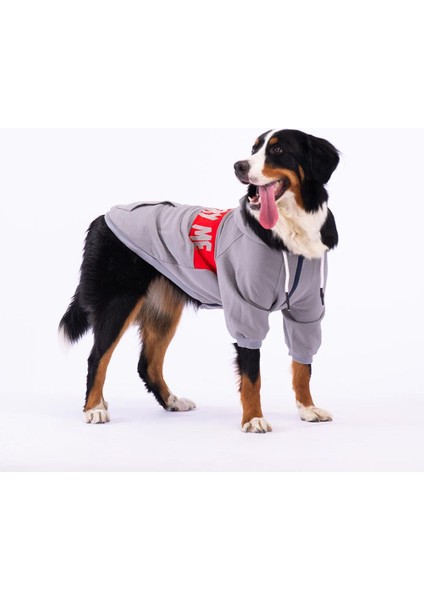 Gri Angry Orta-Büyük Irk Köpek Fermuarlı Sweatshirt modelleri