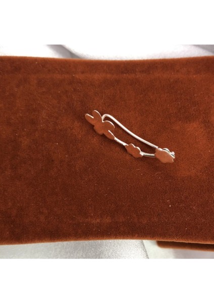 Kadın Kıkırdak Gümüş Küpe fiyatları