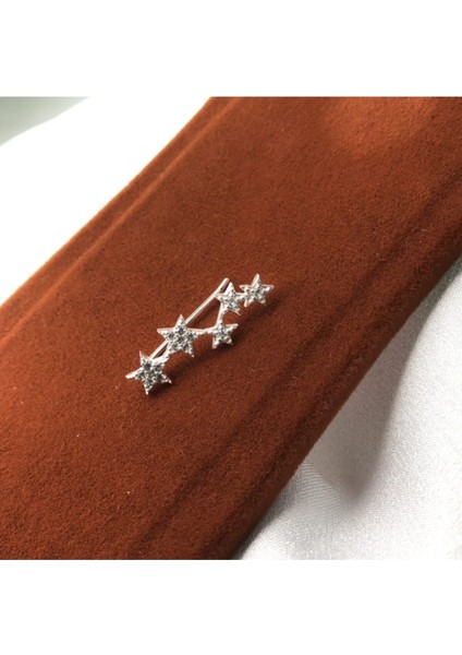 Kadın Kıkırdak Gümüş Küpe