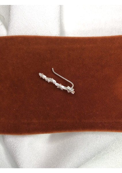 Kadın Kıkırdak Gümüş Küpe fiyatları