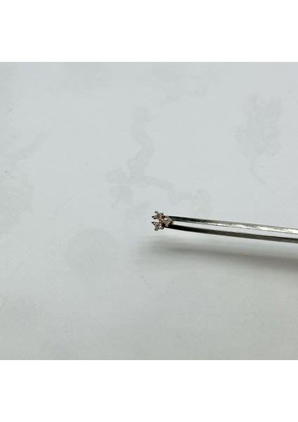 Kadın Tek Taş Gümüş Tragus Piercing Gümüş Kıkırdak Küpe
