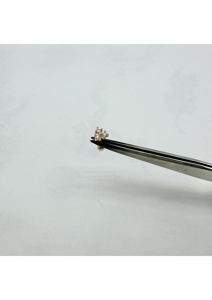 Kadın Tek Taş Gümüş Tragus Piercing Gümüş Kıkırdak Küpe
