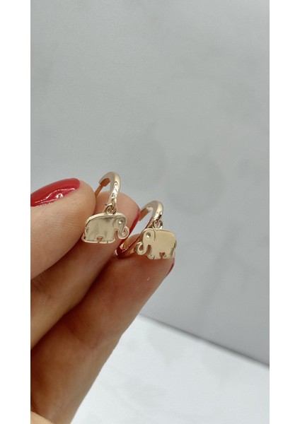 Kadın Filli Rose Gümüş Küpe modelleri