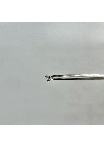 Kadın Gümüş Anka Kuşu Tragus Piercing Gümüş Kıkırdak Küpe